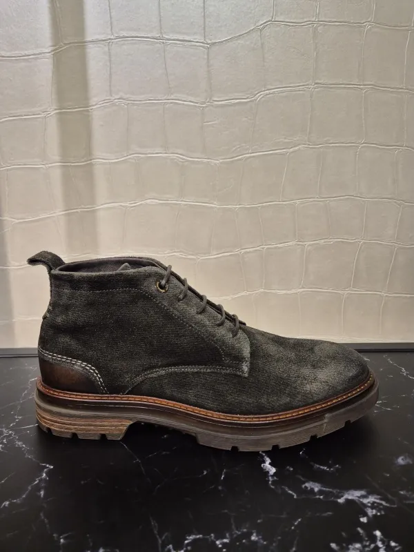 Bruin_Levin_veterboot