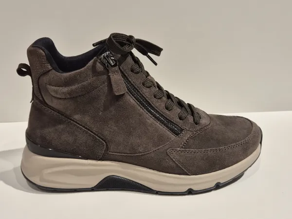 Bruin_veterboot_RS