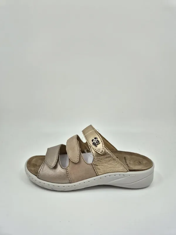 Champagne_Solidus_Slipper_G