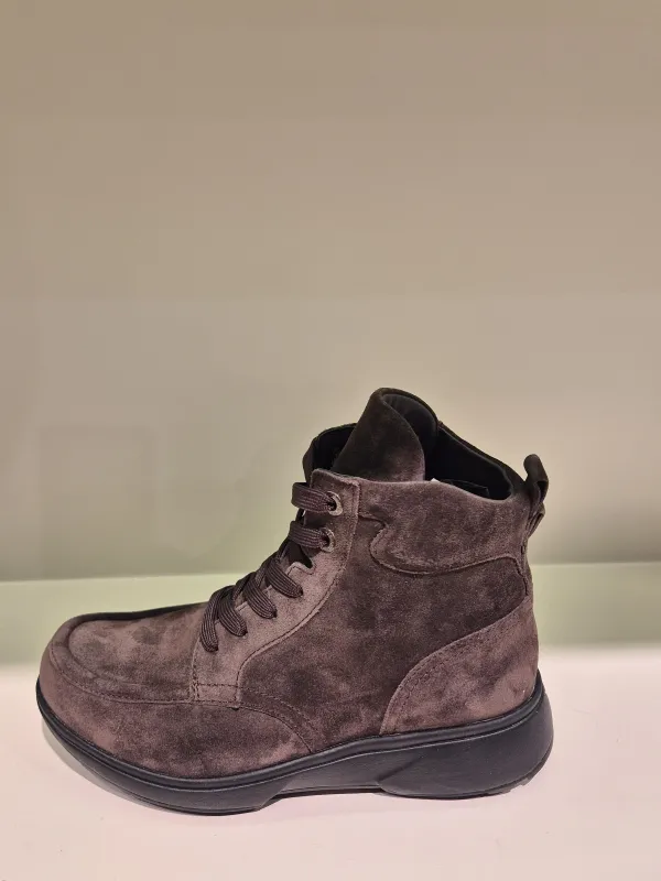 D_brown_Romagna_H