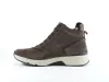 Bruin_veterboot_RS_3