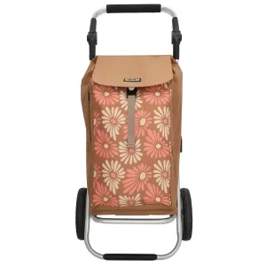 Bloem_bruin_Alberic_Boodschappen_trolley