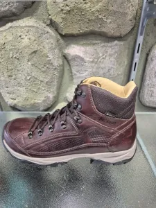 Bruin_Sterzing_Identity_Mid